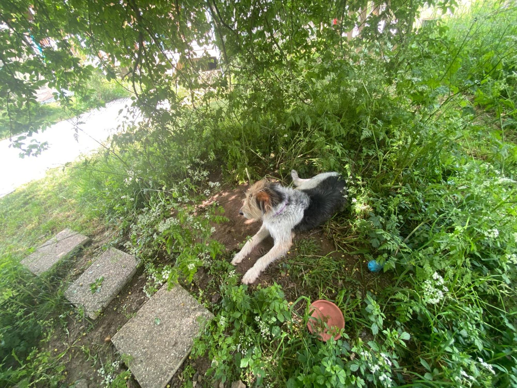 Gite Wildflower Lane Valojoulx Zewnętrze zdjęcie