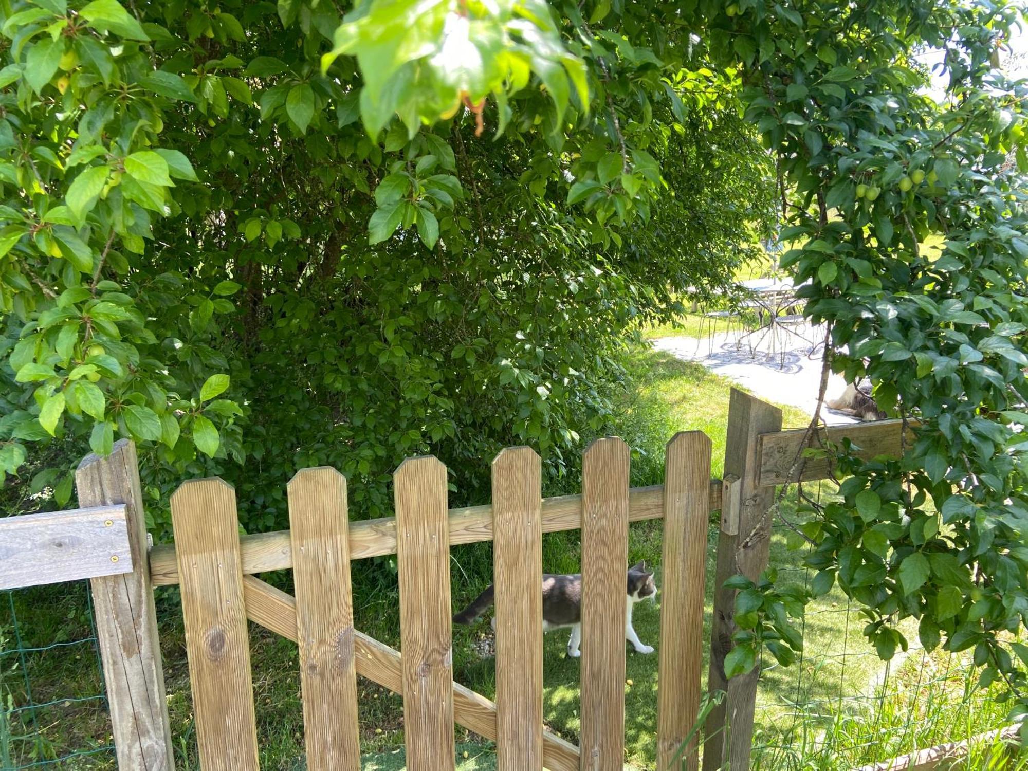 Gite Wildflower Lane Valojoulx Zewnętrze zdjęcie